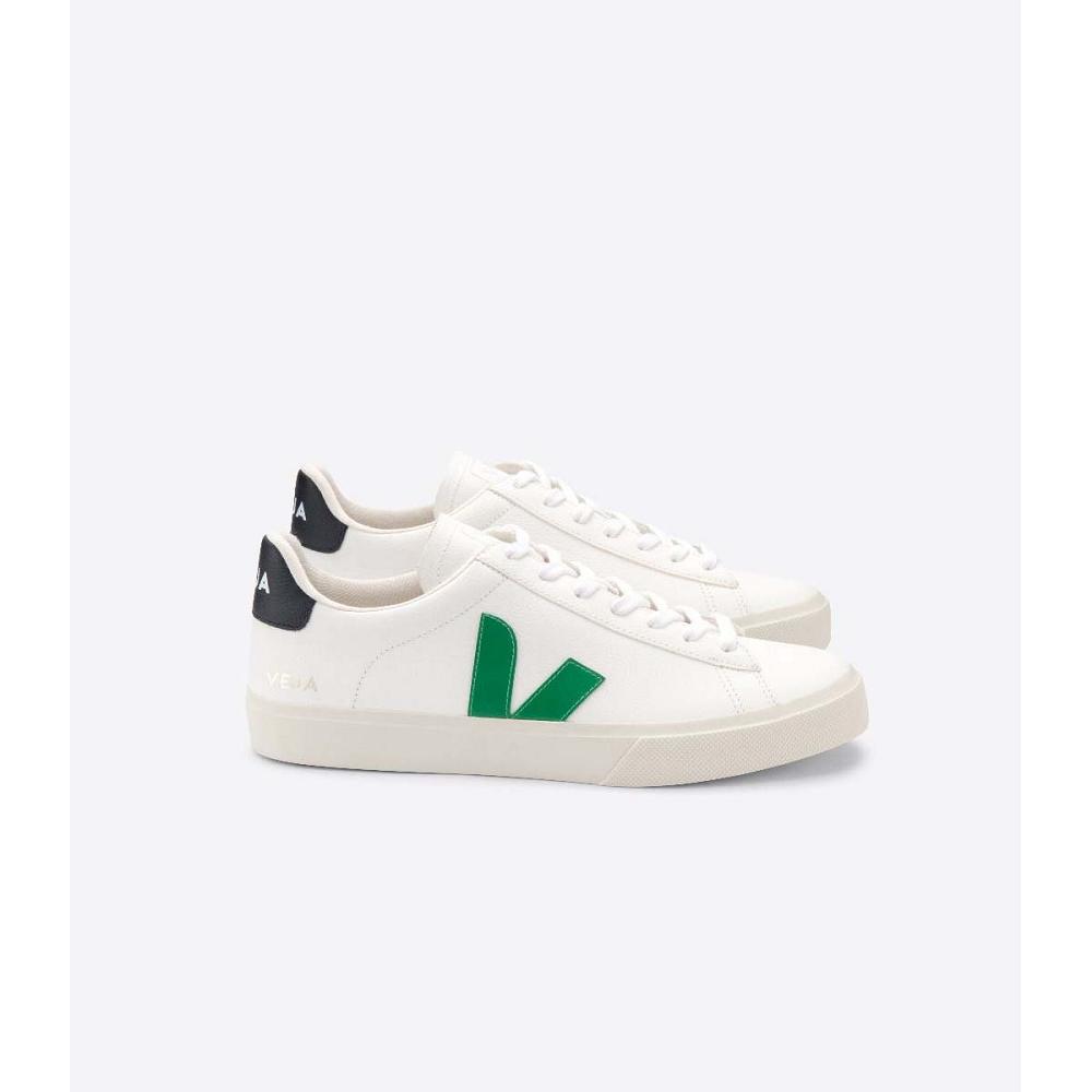 Men\'s Veja CAMPO CHROMEFREE Low Tops Sneakers White/Black | ZA 204JPQ